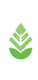 Eco Evolve