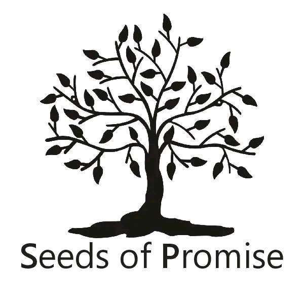 Seeds of Promise